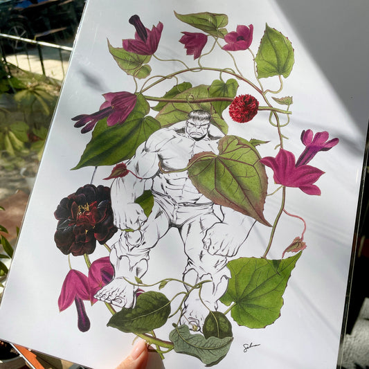 Strength and Softness Duality