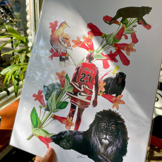 Jordan the Black Cat