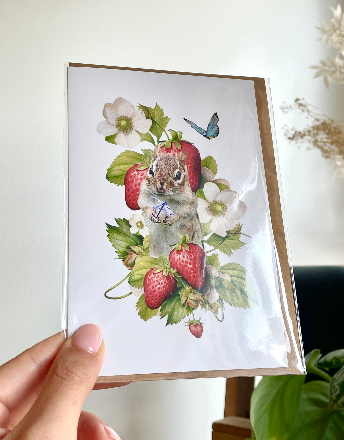 Chipmunk - Full of Cuteness