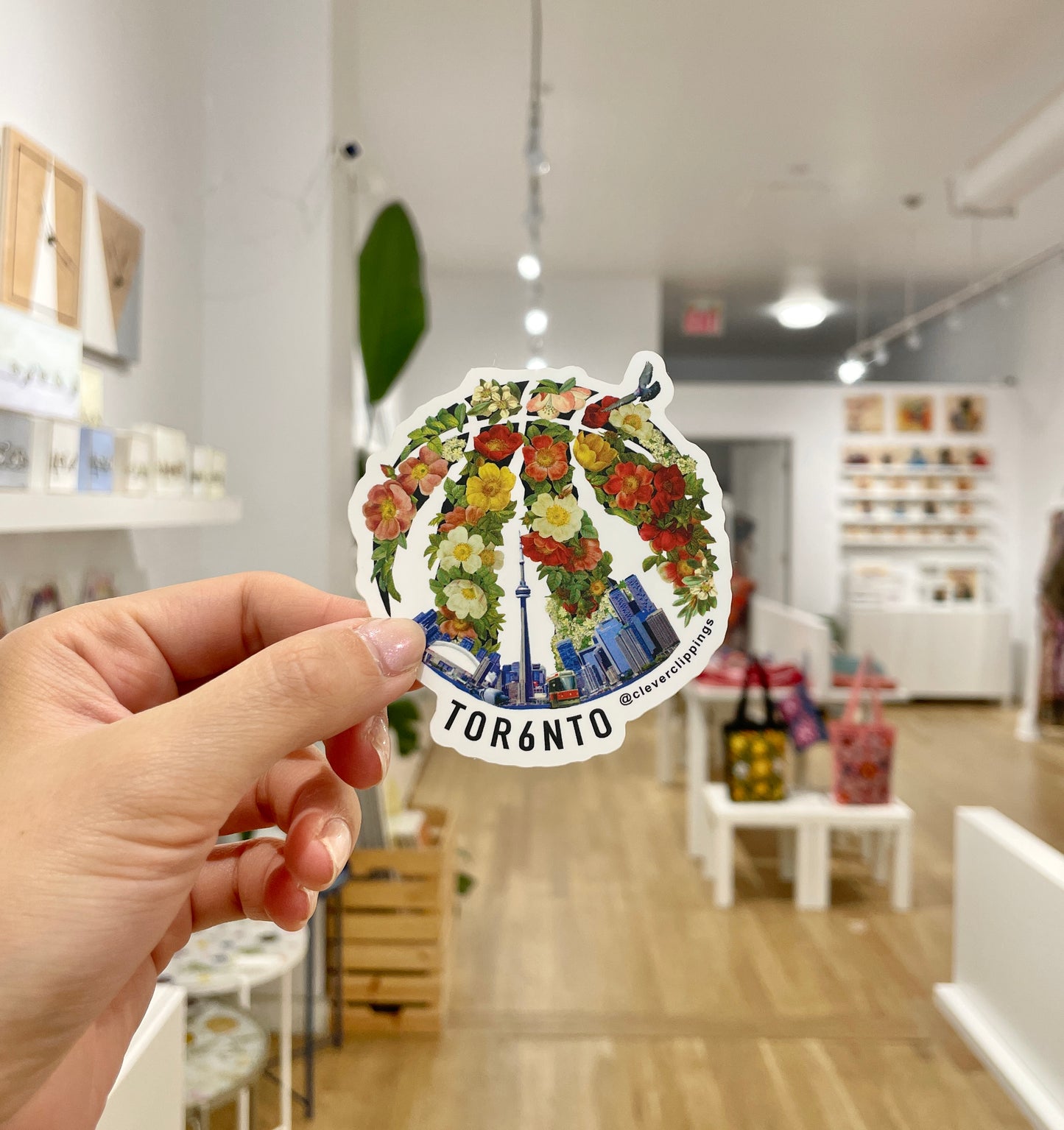 Toronto x Raptors - Blossom Vinyl Sticker