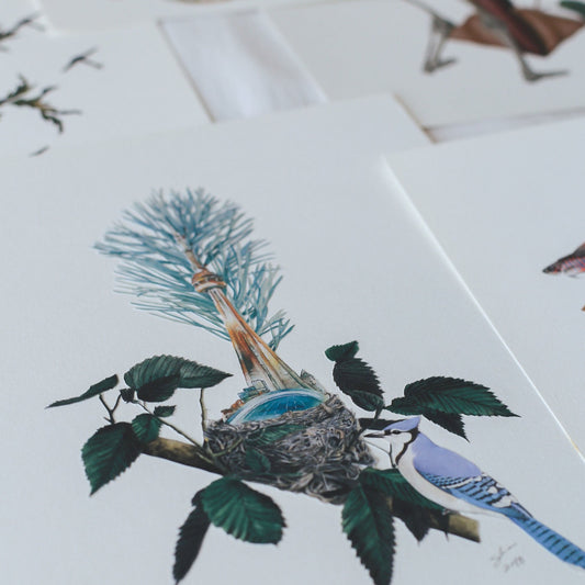 CN Tower - A place called Home