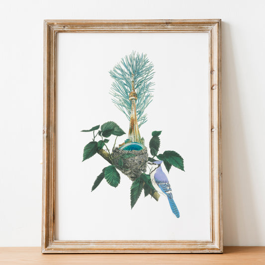 CN Tower - A place called Home