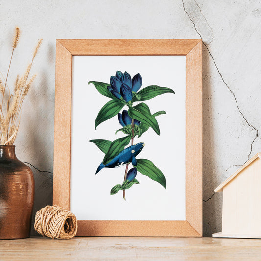 Harmony of Blue - Whale Blue