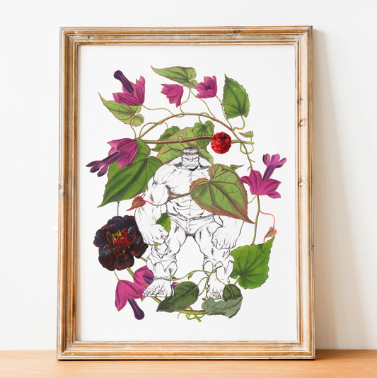 Strength and Softness Duality