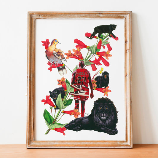 Jordan the Black Cat