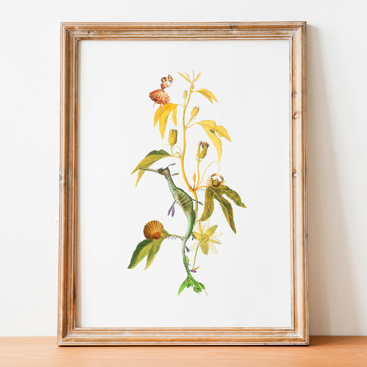 Sense of Wonder - explore like Ariel