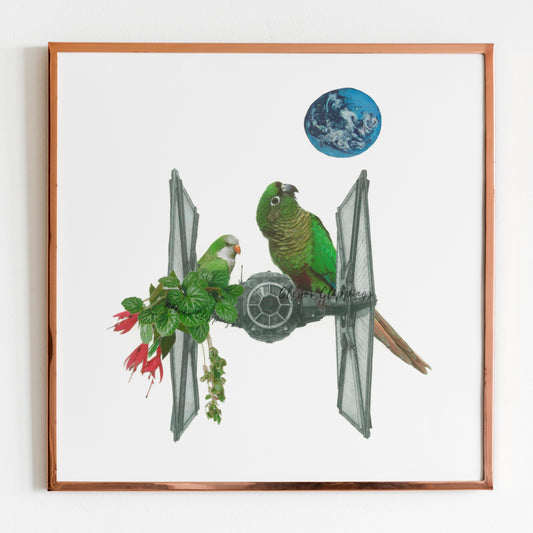 Fighter In the Jungle