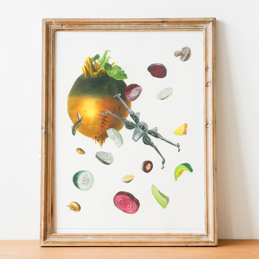 Venture into Asteroid Field