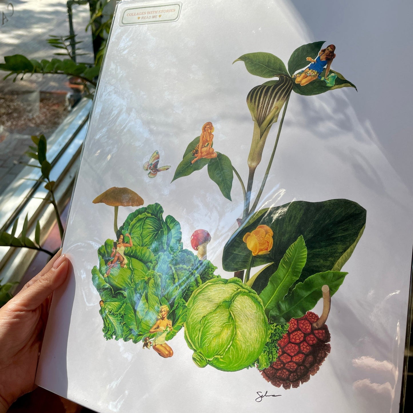 Lettuce Jungle - Pinup