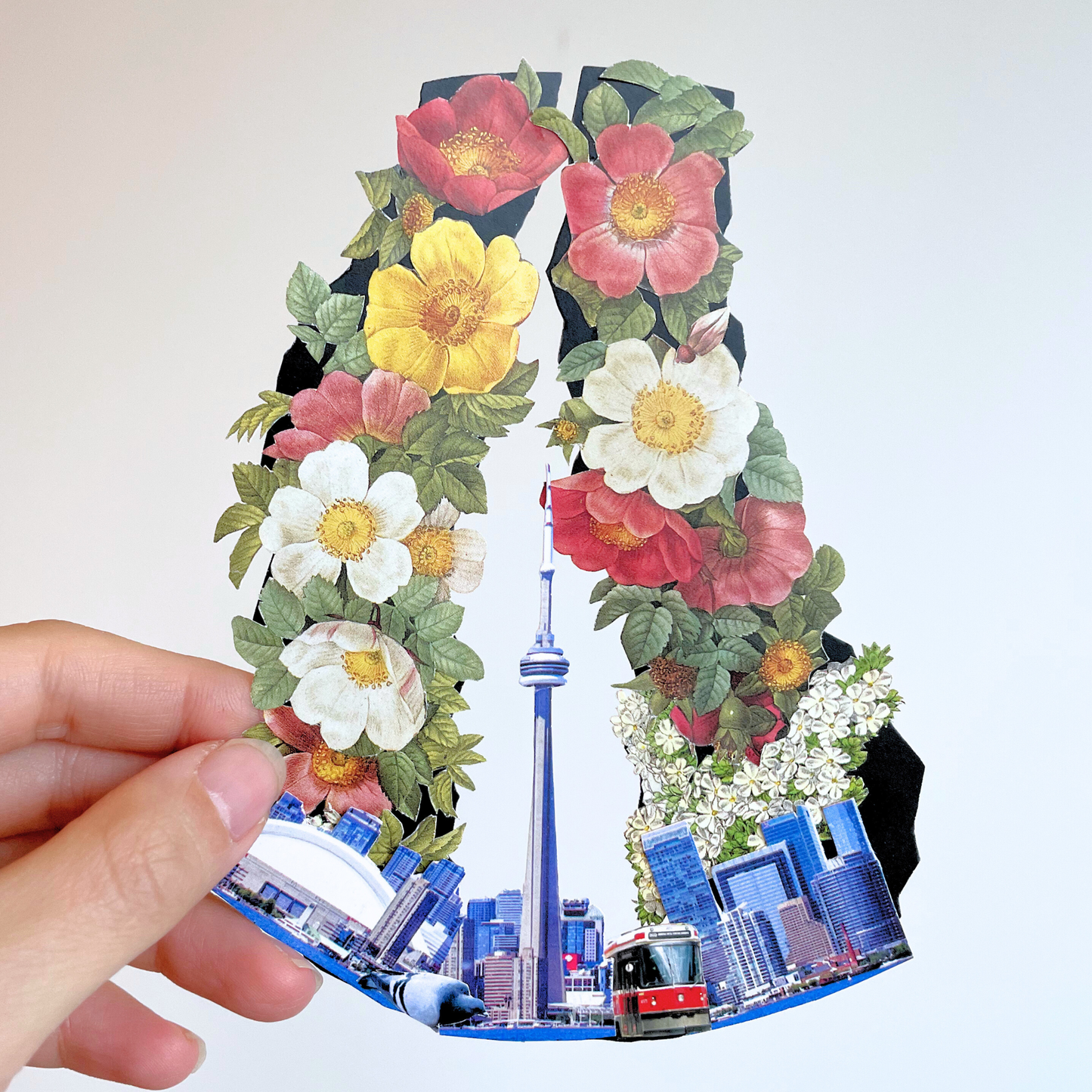 Toronto x Raptors - Blossom