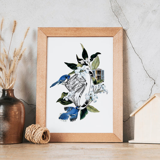 Blue Jay Love Birds